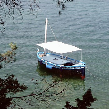 Le Cormoran, pointu de 1962 amaré au Brusc
