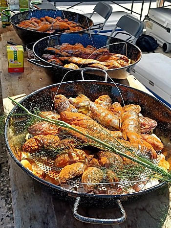 Bouillabaisse 