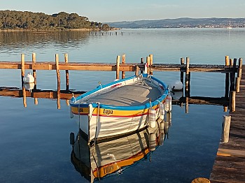 Lupa, pointu construit en 1946 à La Seyne-sur-mer