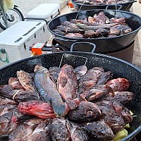 Bouillabaisse sur le port du Brusc