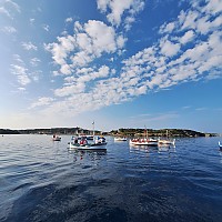 Octobre Rose embarque sur les pointus du Brusc