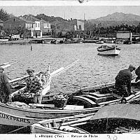 Retour de pêche, port du Brusc 1930