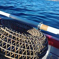 Pêche avec Girelier sur Pointu du Brusc "L'Artesien"